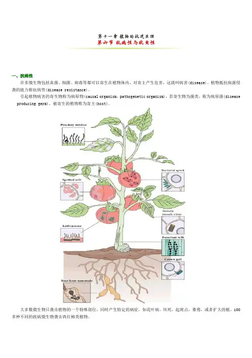 植物抗虫性与抗病性