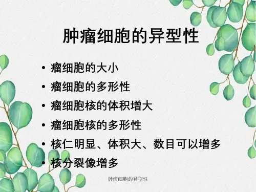 肿瘤细胞的异型性