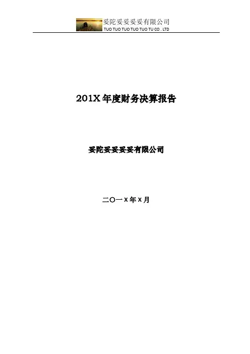 201X年度财务决算报告模板