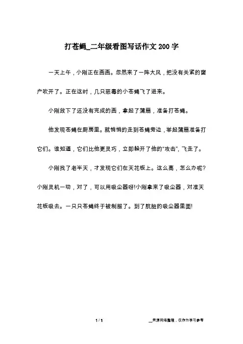 打苍蝇_二年级看图写话作文200字