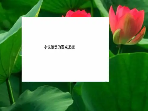 荷花淀一轮复习课件