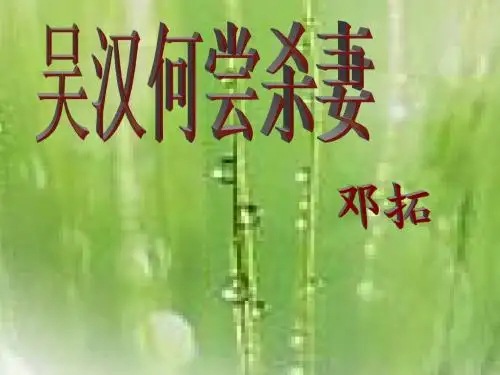10.吴汉何尝杀妻_课件