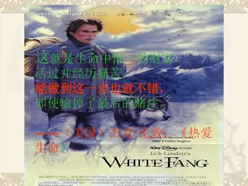 8.热爱生命