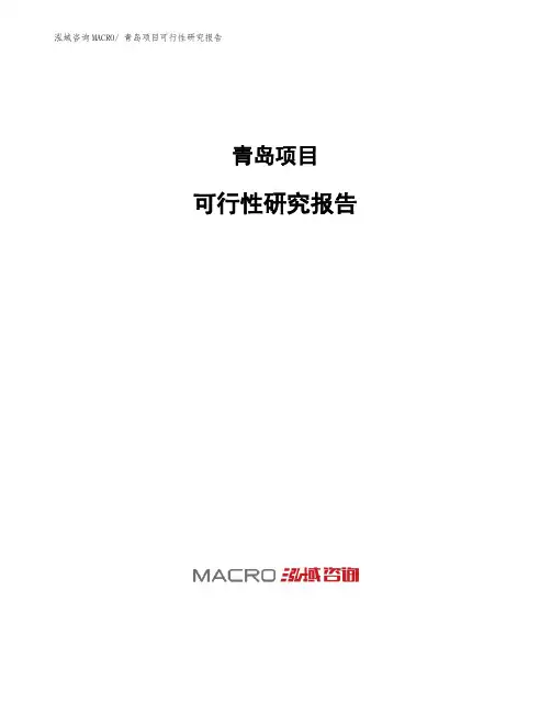 青岛项目可行性研究报告