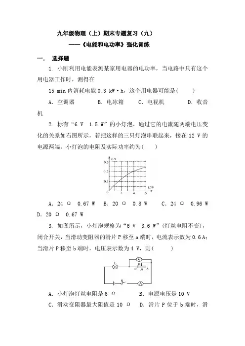 人教版九年级物理上册期末专题复习