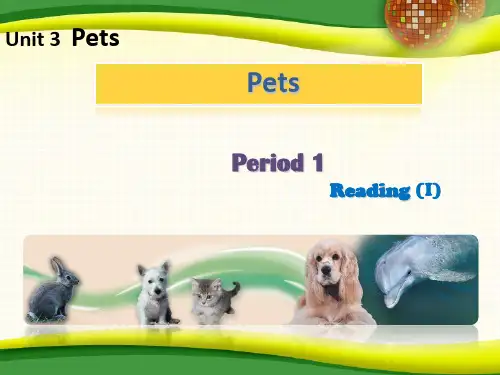 牛津英语8B unit6 Head to Head 课件