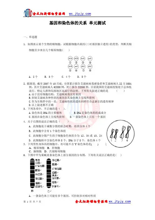 第2章 基因和染色体的关系 单元测试26 (人教版必修2)