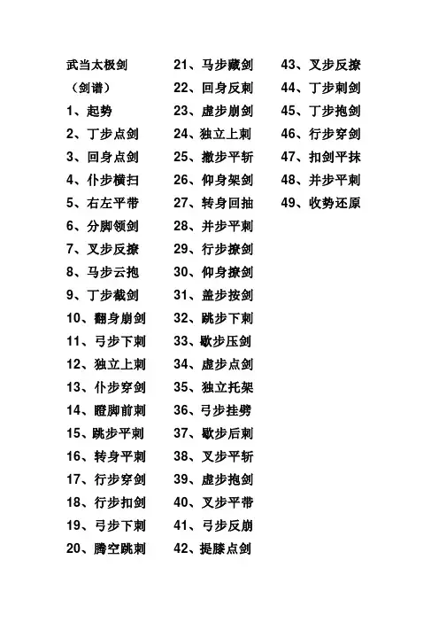 49式武当太极剑剑谱 2