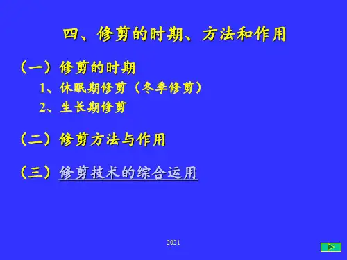 果树整形修剪——修剪方法PPT课件