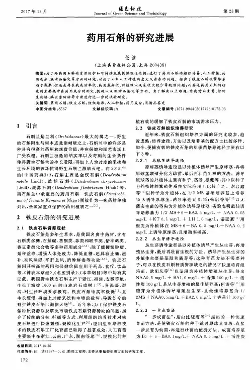 药用石斛的研究进展