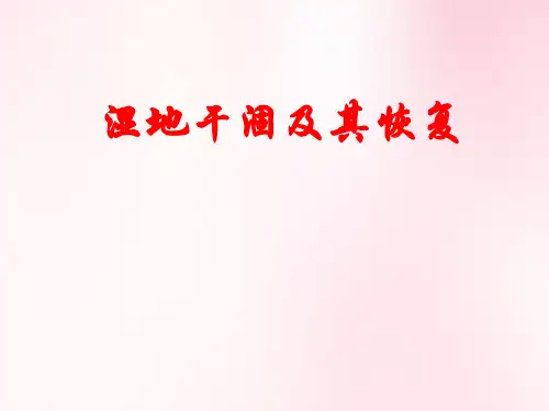 湿地干涸及其恢复课件