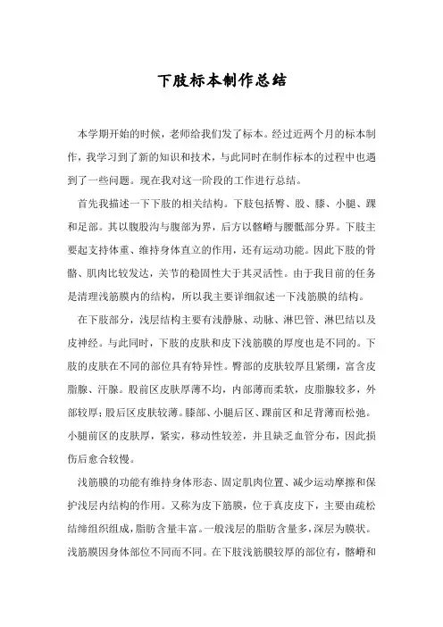 标本制作总结