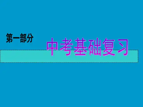 2010年中考物理基础复习课件(2)