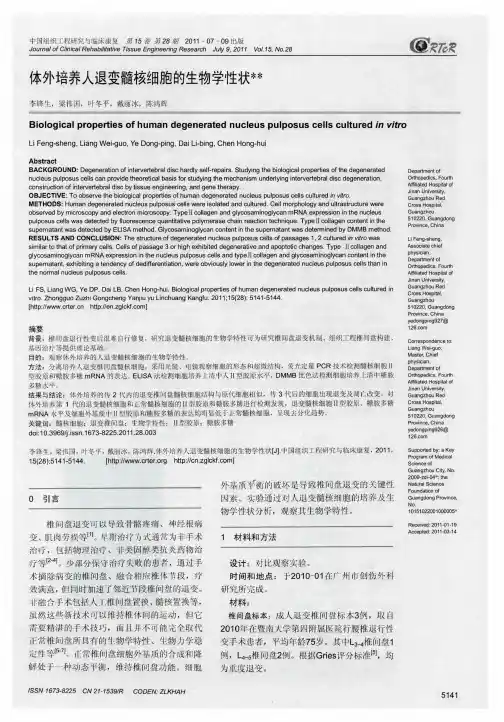 体外培养人退变髓核细胞的生物学性状