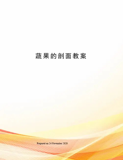 蔬果的剖面教案