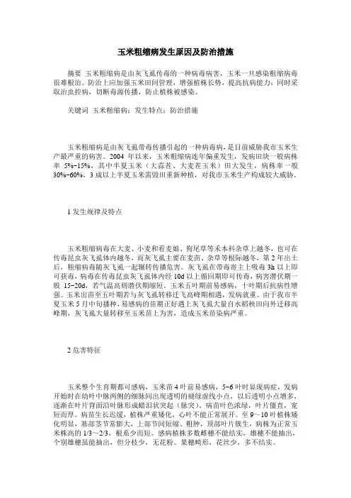 玉米粗缩病发生原因及防治措施
