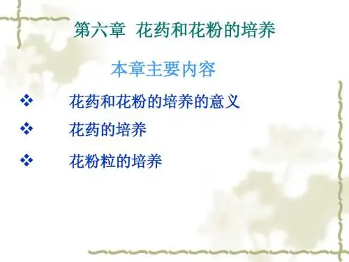 第6章  花粉与花药的培养