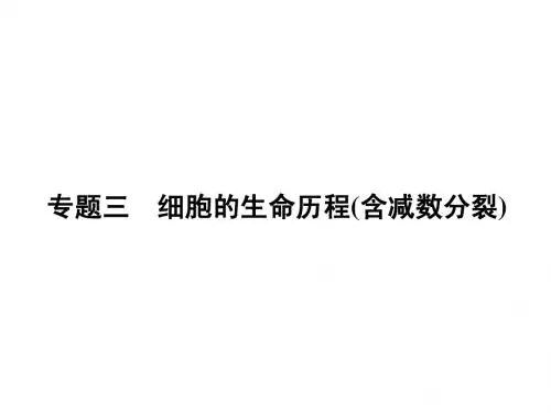 2015届高中生物专题三 细胞的生命历程