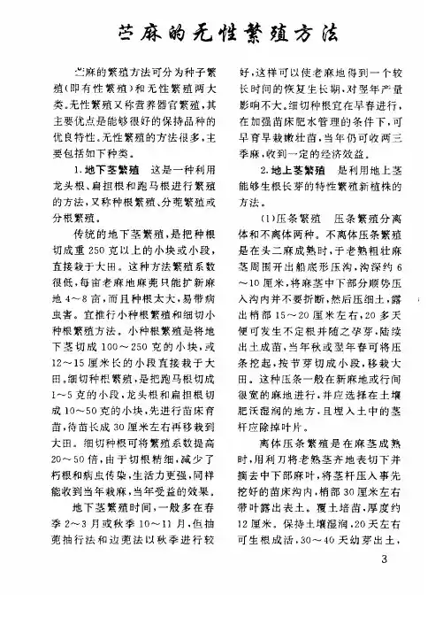 苎麻的无性繁殖方法