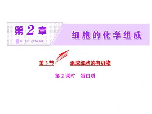 高中生物北师大版必修一课件：第2章 第3节 第2课时 蛋白质