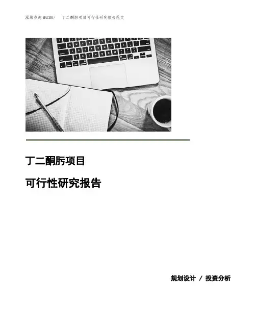 丁二酮肟项目可行性研究报告范文