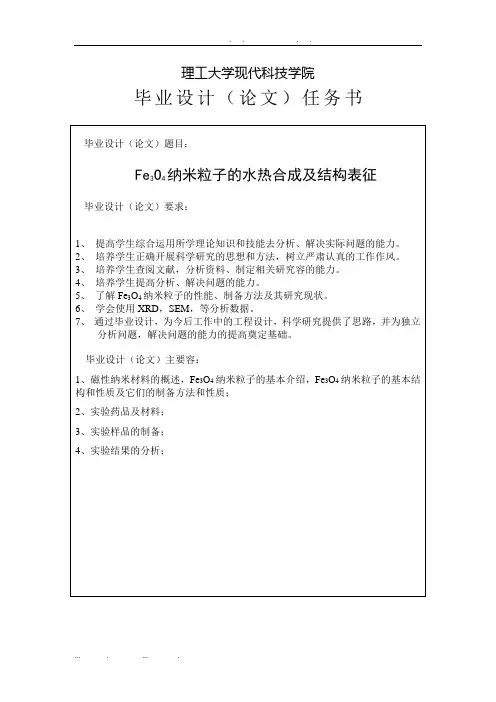 四氧化三铁纳米粒子的制备和表征