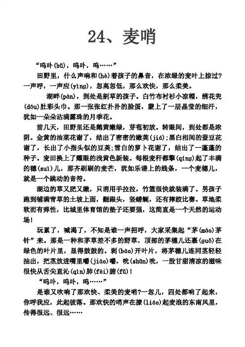 24、麦哨(原文)