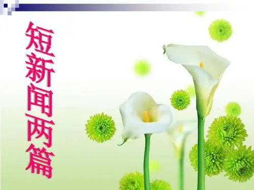 别了,不列颠尼亚