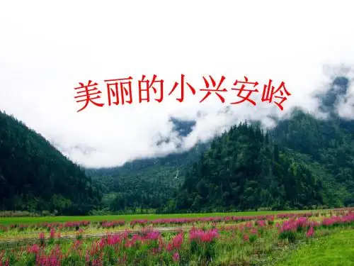 新北师大版小学三年级下册语文《美丽的小兴安岭》优秀PPT课件