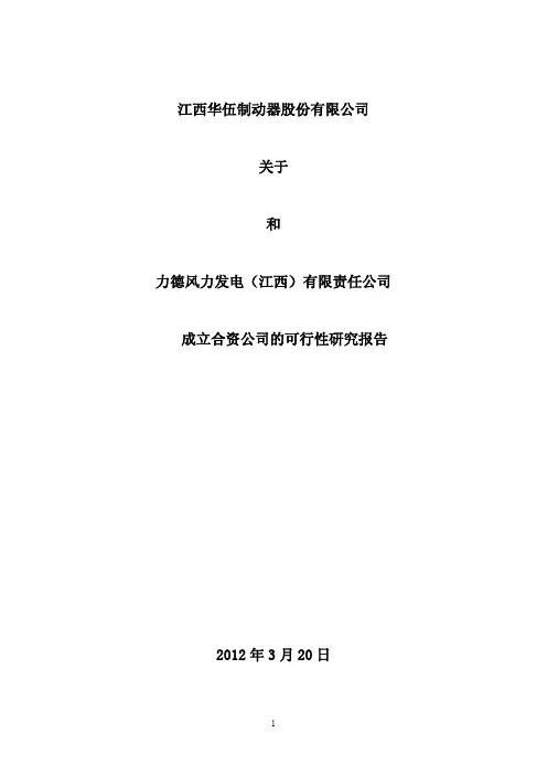 成立合资公司可研