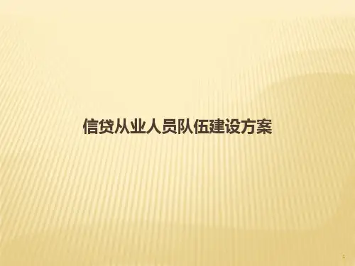 -信贷从业人员队伍建设方案