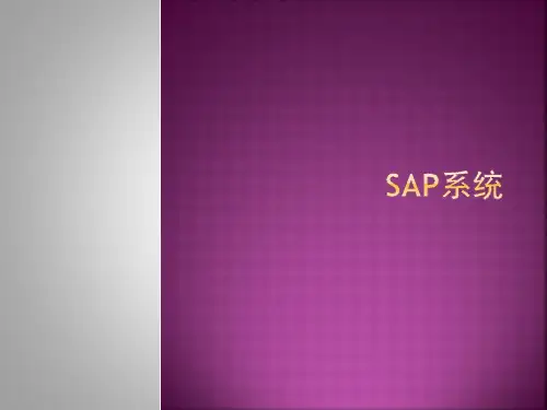SAP系统简介