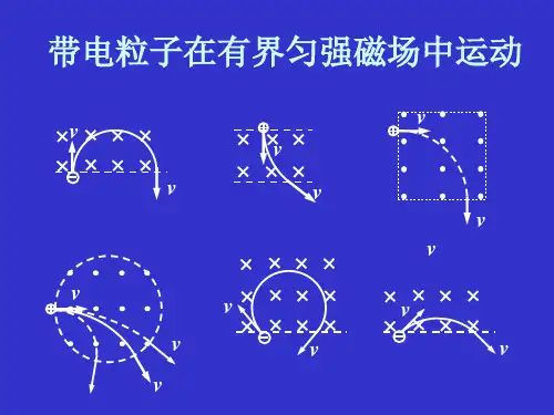 带电粒子在有界磁场中的运动(全)