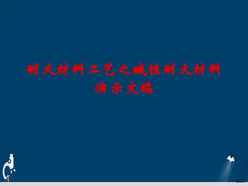 耐火材料工艺之碱性耐火材料演示文稿