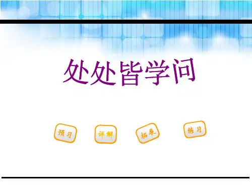 《处处皆学问》PPT课件【完美版课件】
