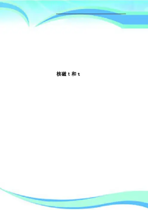 核磁t和t