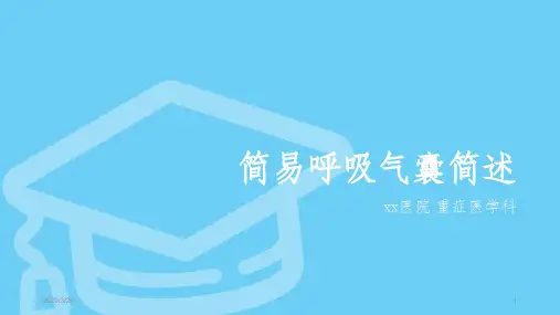 简易呼吸气囊简述