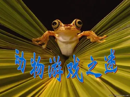 《动物游戏之谜》课件2[1]