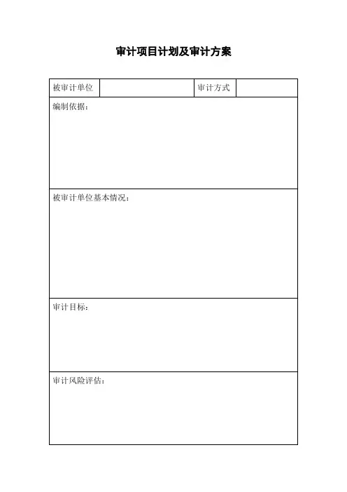 审计项目计划及审计方案