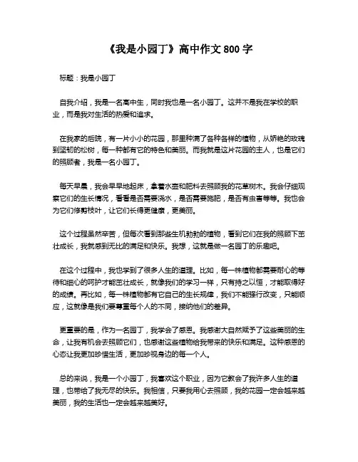 《我是小园丁》高中作文800字