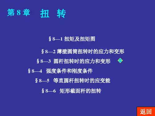 10扭转强度及刚度