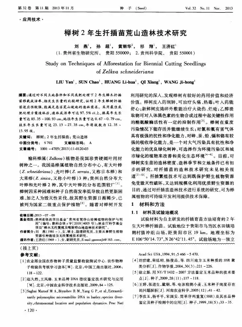 榉树2年生扦插苗荒山造林技术研究