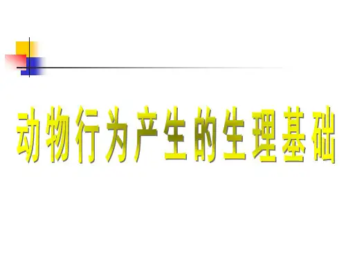 动物行为产生的生理基础(2).ppt