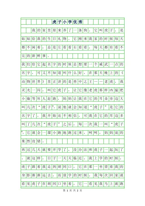 2019年虎子小学优秀作文