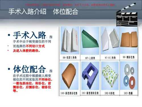 胸科手术入路介绍和体位配合课件