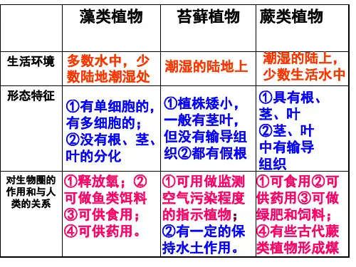 第二节种子植物2课时