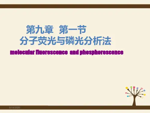 荧光和磷光分析法