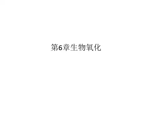 第6章生物氧化