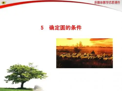 5 确定圆的条件