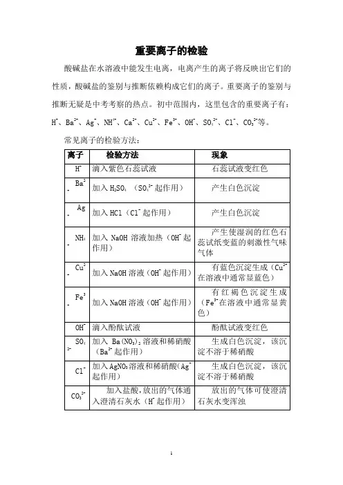 初中化学重要离子的检验